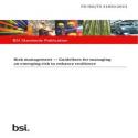 BS PD ISO/TS 31050:2023