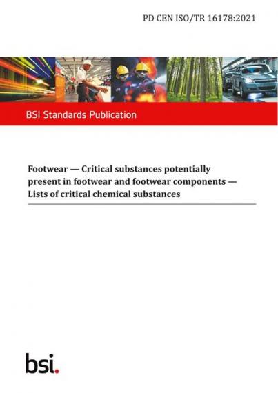 BS PD CEN ISO/TR 16178:2021
