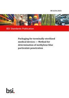BS 6256:2021