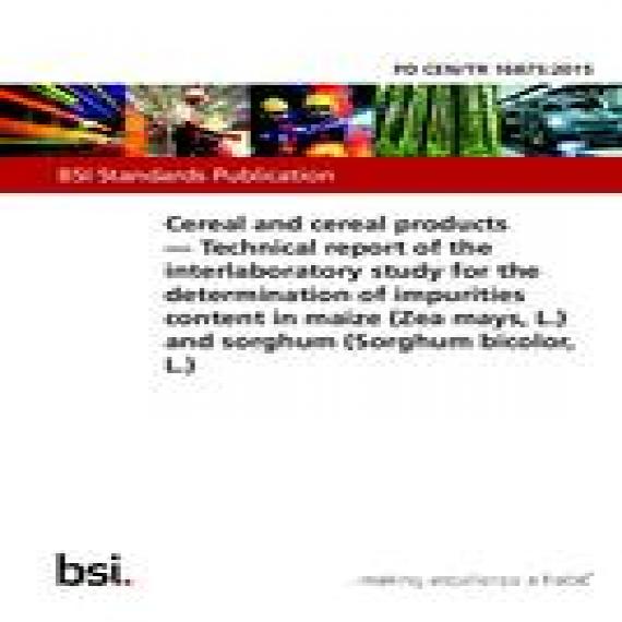 BS PD CEN/TR 16875:2015