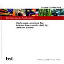 BS PD CEN/TR 16824:2015