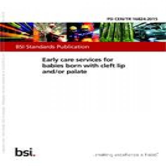 BS PD CEN/TR 16824:2015