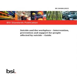 BS 30480:2025