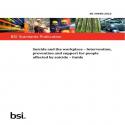BS 30480:2025