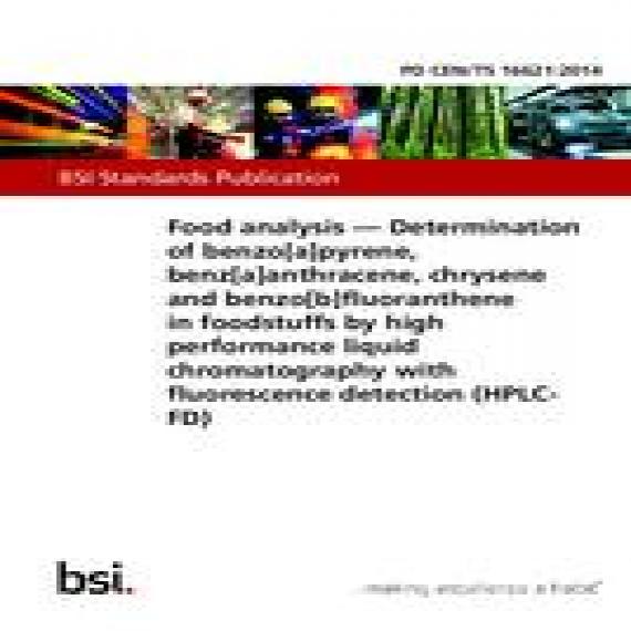 BS PD CEN/TS 16621:2014