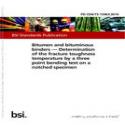 BS PD CEN/TS 15963:2014