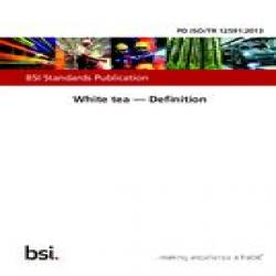 BS PD ISO/TR 12591:2013