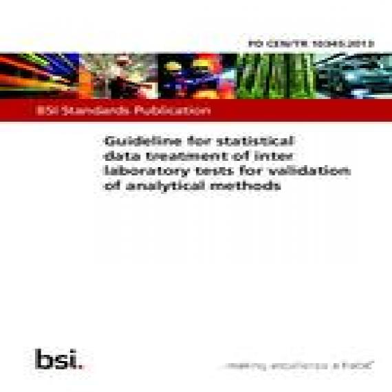 BS PD CEN/TR 10345:2013