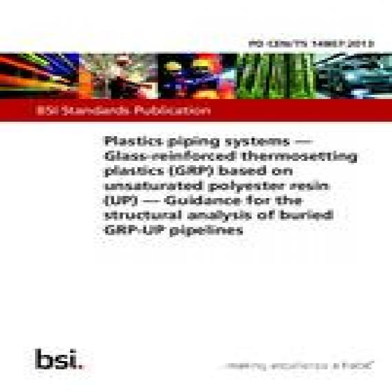 BS PD CEN/TS 14807:2013