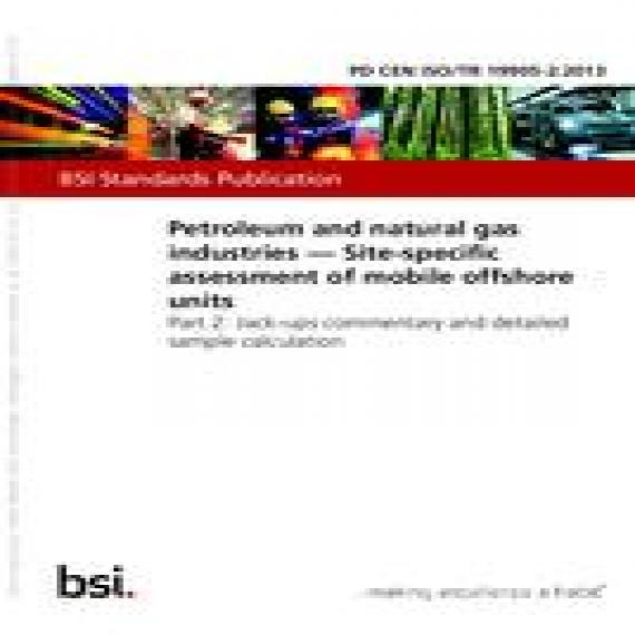 BS PD CEN ISO/TR 19905-2:2013