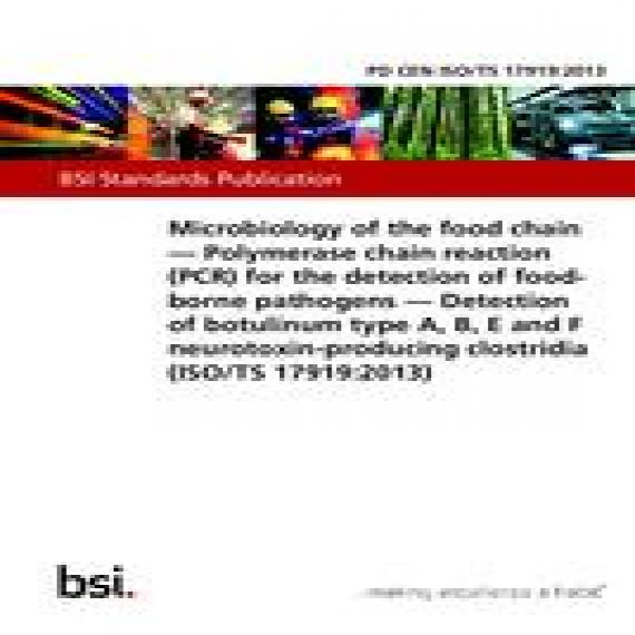 BS PD CEN ISO/TS 17919:2013