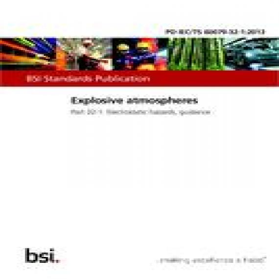 BS PD IEC/TS 60079-32-1:2013