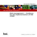 BS PD ISO/TR 31004:2013