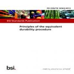 BS PD CEN/TR 16563:2013