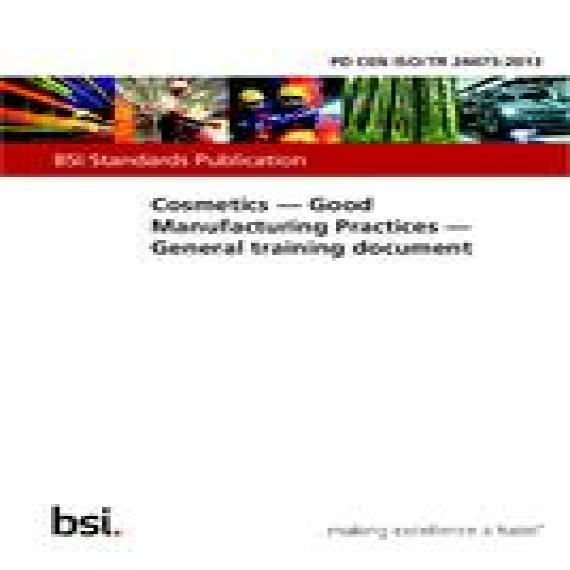 BS PD CEN ISO/TR 24475:2013