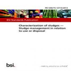 BS PD CEN/TS 13714:2013
