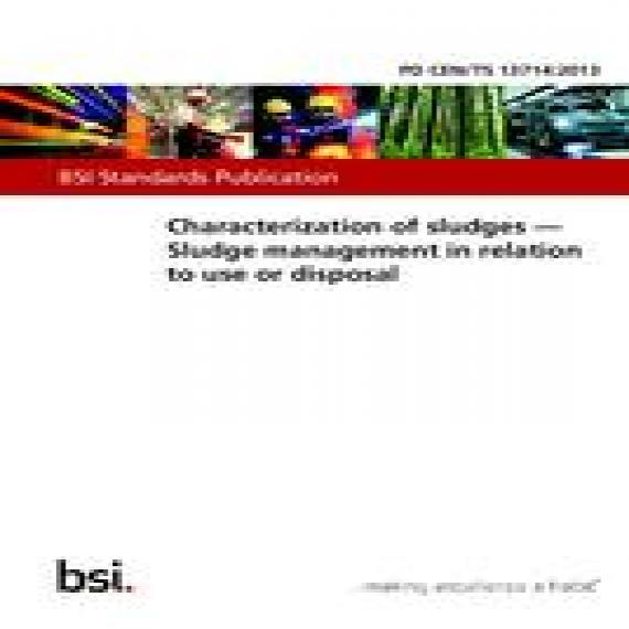 BS PD CEN/TS 13714:2013