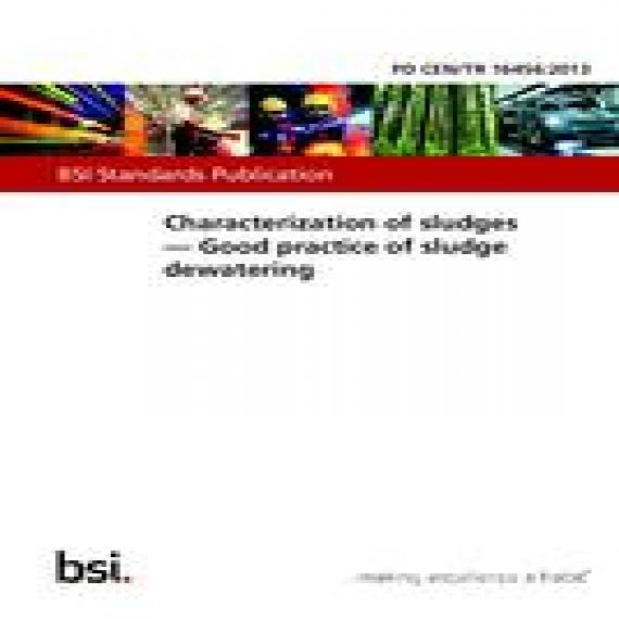 BS PD CEN/TR 16456:2013