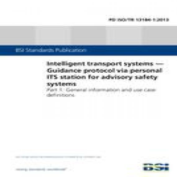 BS PD ISO/TR 13184-1:2013
