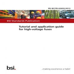 BS PD IEC/TR 62655:2013