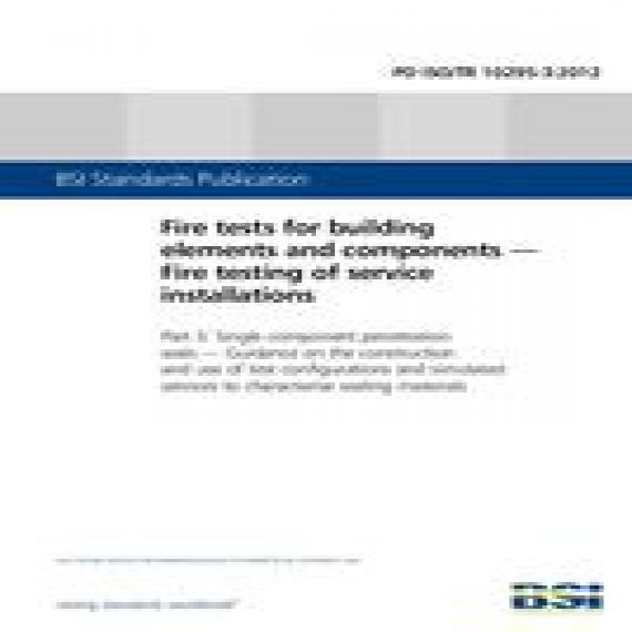 BS PD ISO/TR 10295-3:2012