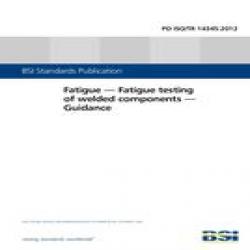 BS PD ISO/TR 14345:2012
