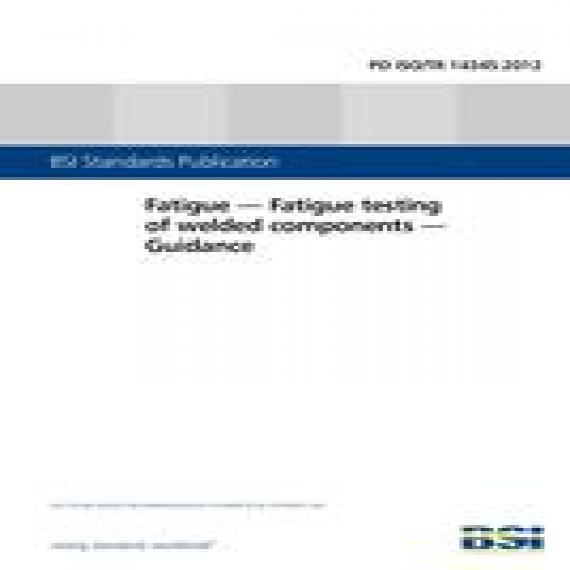 BS PD ISO/TR 14345:2012