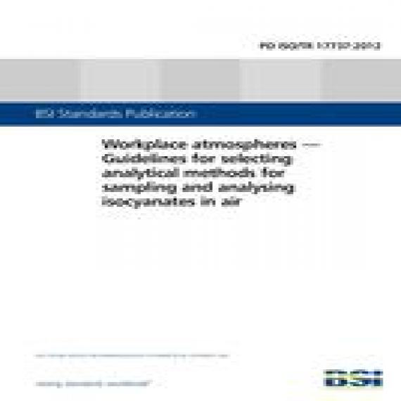BS PD ISO/TR 17737:2012