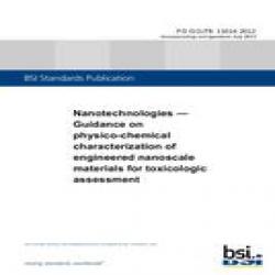 BS PD ISO/TR 13014:2012