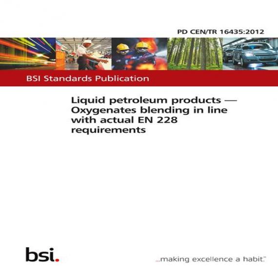 BS PD CEN/TR 16435:2012