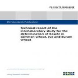 BS PD CEN/TR 16324:2012