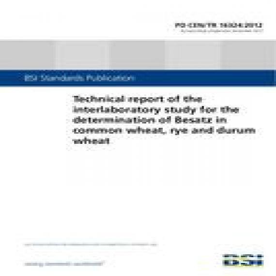 BS PD CEN/TR 16324:2012