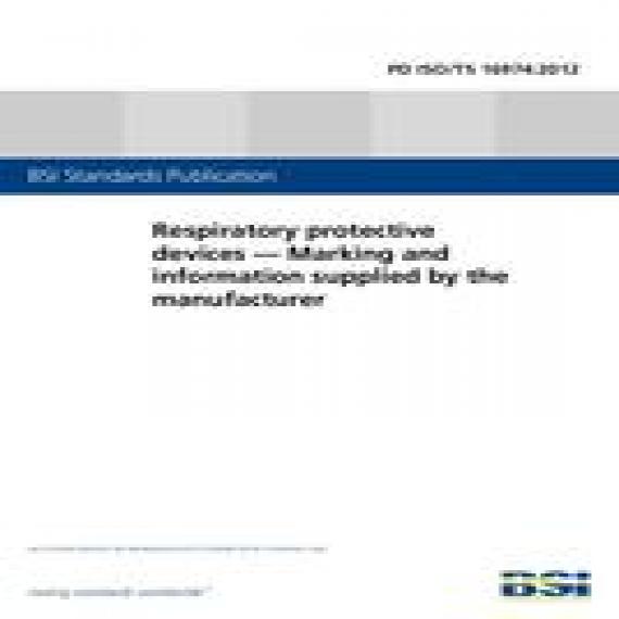 BS PD ISO/TS 16974:2012