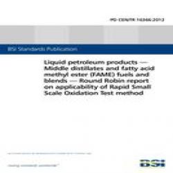 BS PD CEN/TR 16366:2012