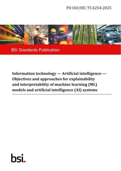 BS PD ISO/IEC TS 6254:2025