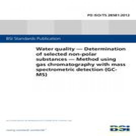 BS PD ISO/TS 28581:2012