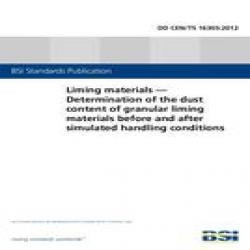 BS DD CEN/TS 16305:2012