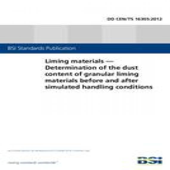 BS DD CEN/TS 16305:2012