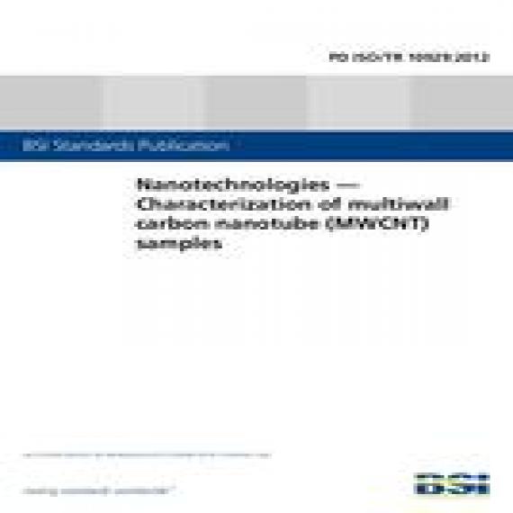 BS PD ISO/TR 10929:2012