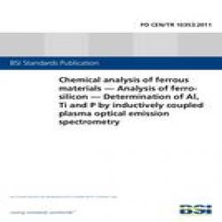 BS PD CEN/TR 10353:2011