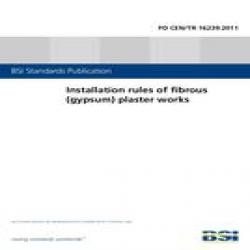 BS PD CEN/TR 16239:2011