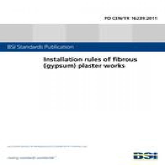 BS PD CEN/TR 16239:2011