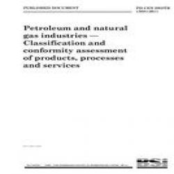 BS PD CEN ISO/TR 13881:2011