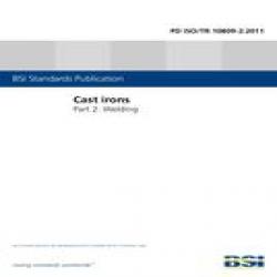 BS PD ISO/TR 10809-2:2011