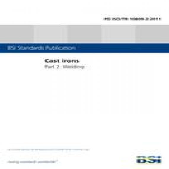 BS PD ISO/TR 10809-2:2011