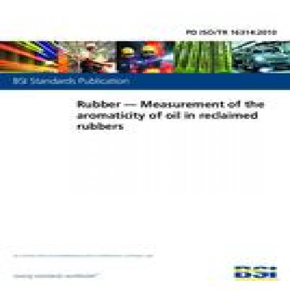 BS PD ISO/TR 16314:2010