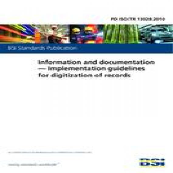 BS PD ISO/TR 13028:2010