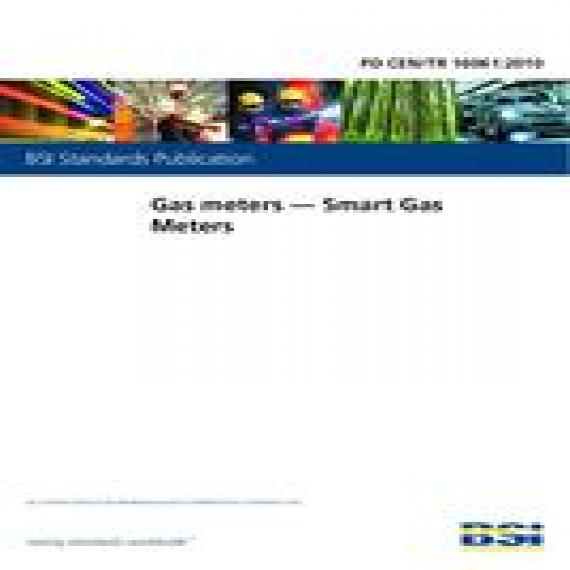 BS PD CEN/TR 16061:2010