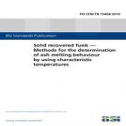 BS PD CEN/TR 15404:2010