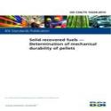 BS DD CEN/TS 15639:2010